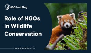 Role of NGOs in Wildlife Conservation