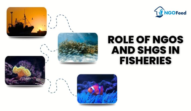 Role of NGOs and SHGs in Fisheries: Work, Challenges, Importance, NGO Role, Impacts etc.