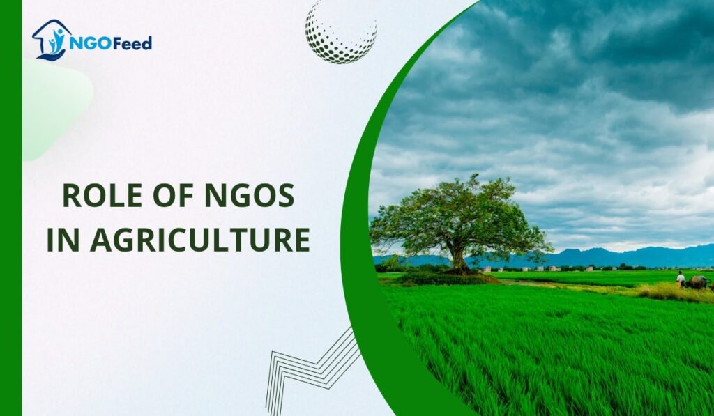 Role of NGOs in Agriculture-