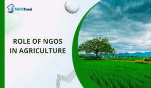 Role of NGOs in Agriculture: Work, Challenges, Importance, Impact etc.