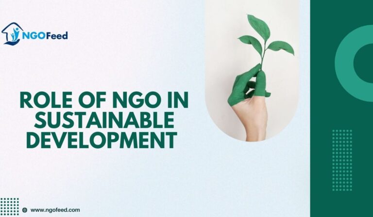 Catalysts for Change: The Indispensable Role of NGOs in Sustainable Development