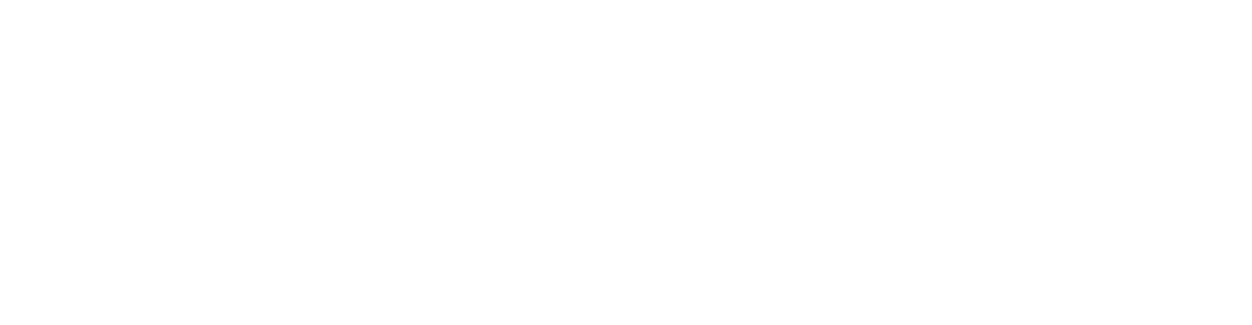 NGOFeed Logo