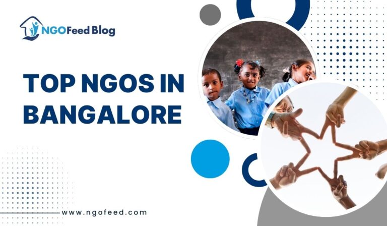 Top NGOs in Bangalore 2026: Heroes Without Capes