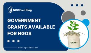 Government Grants Available for NGOs: A Comprehensive Guide