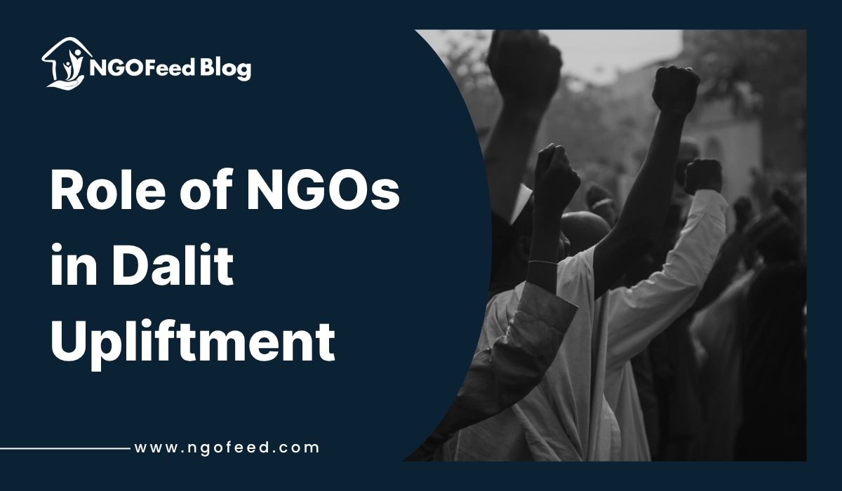 Role of NGOs in Dalit Upliftment