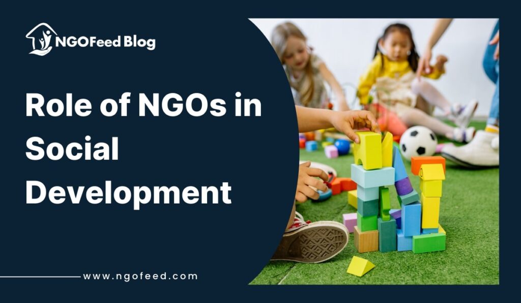 Role of NGOs in Social Development