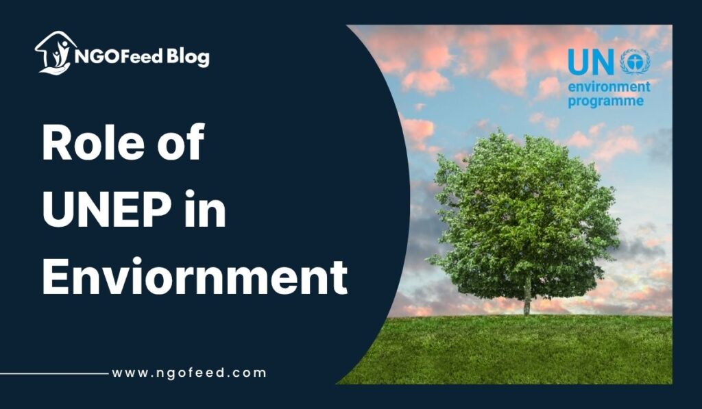 Role of UNEP in Environment