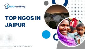 Top NGOs in Jaipur: Weaving Change into the Pink City