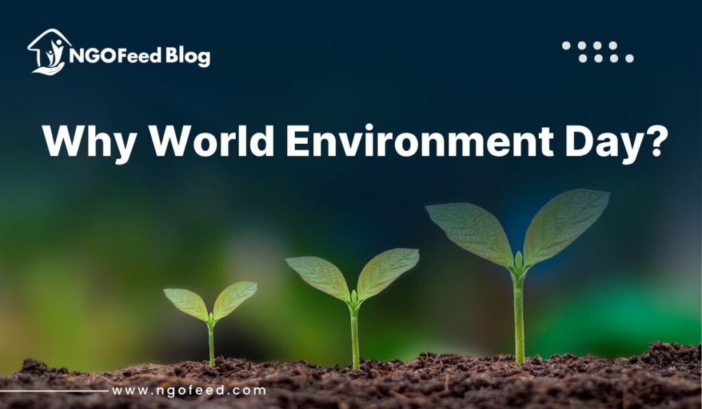 Why World Environment Day