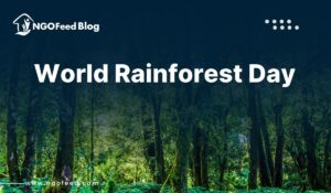 World Rainforest Day