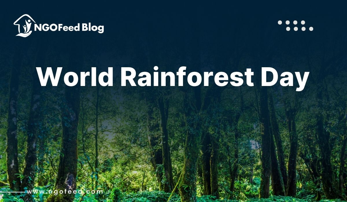 World Rainforest Day