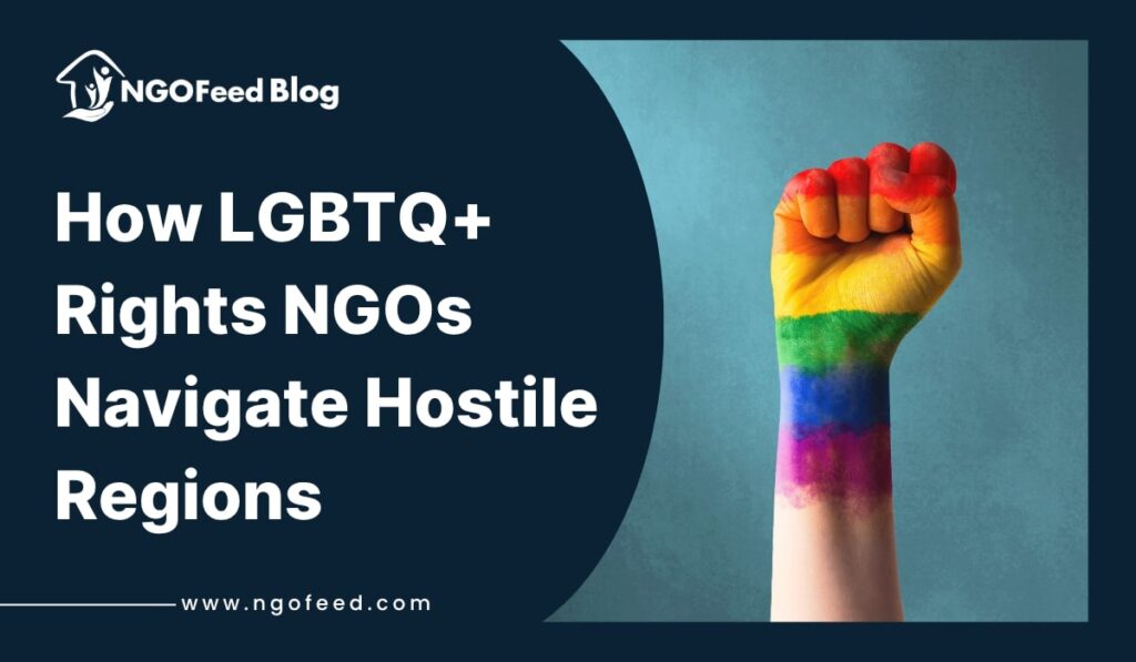 How LGBTQ+ Rights NGOs Navigate Hostile Regions
