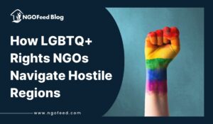 How LGBTQ+ Rights NGOs Navigate Hostile Regions