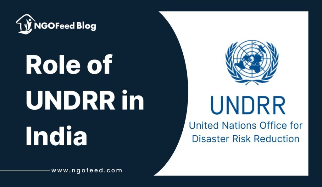 Role of UNDRR in India