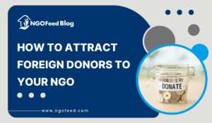 How to Attract Foreign Donors to NGO: Strategies for Global Engagement