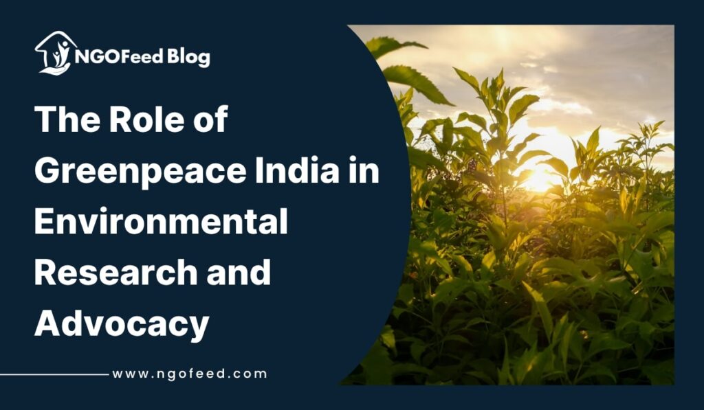 Role of Greenpeace India in Environmental Research and Advocacy
