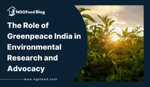 The Role of Greenpeace India in Environmental Research and Advocacy