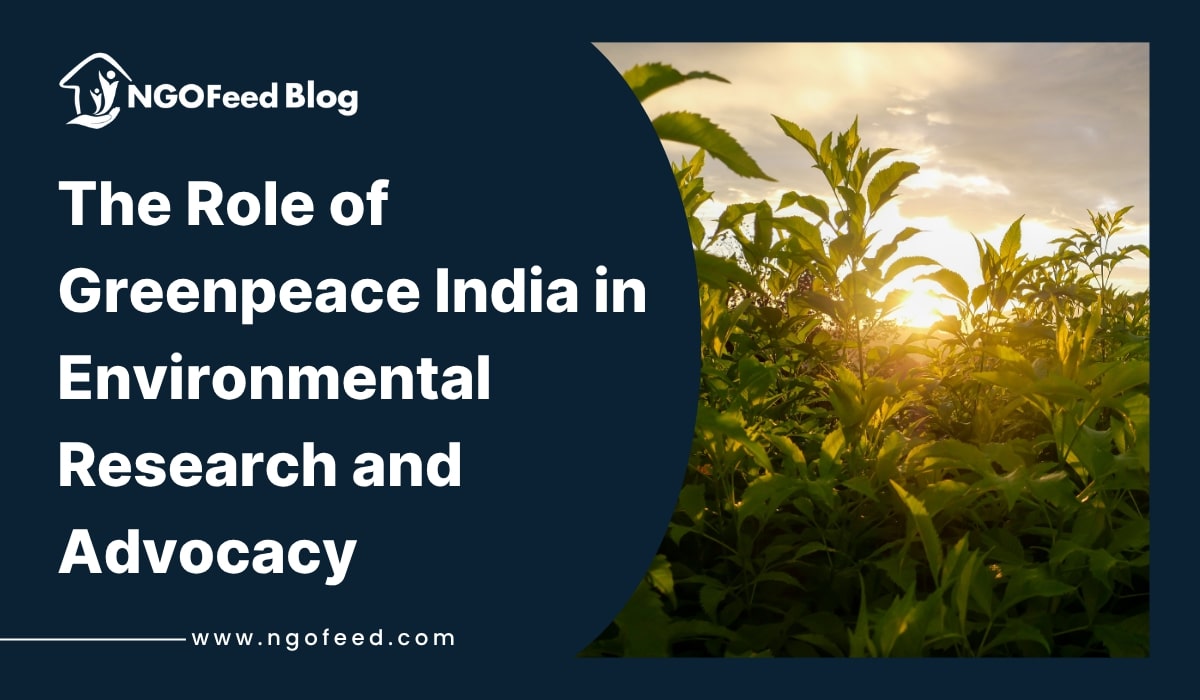 Role of Greenpeace India in Environmental Research and Advocacy