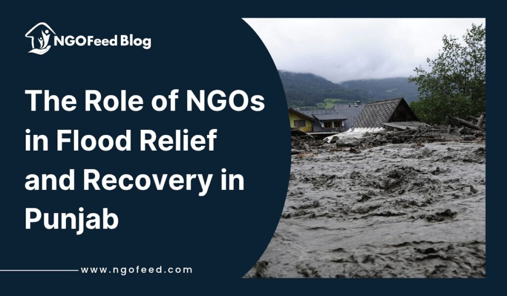 Role of NGOs in Flood Relief in Punjab