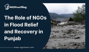 The Role of NGOs in Flood Relief and Recovery in Punjab