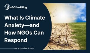 What Is Climate Anxiety and How NGOs Can Respond