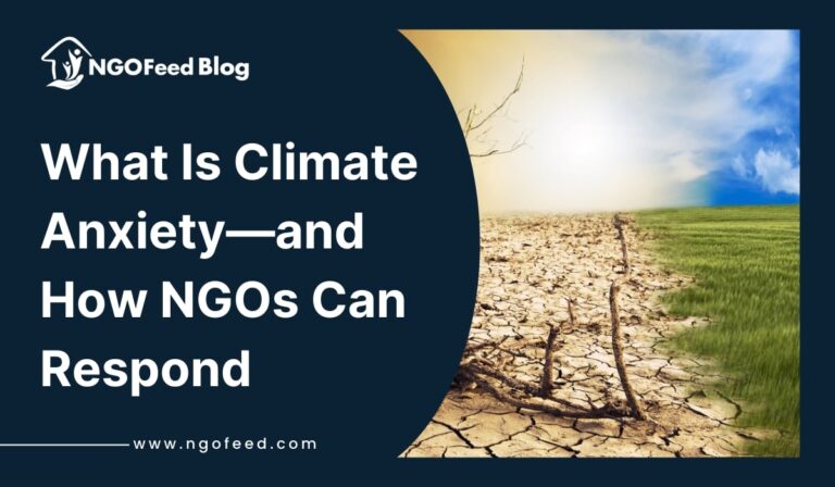 What Is Climate Anxiety and How NGOs Can Respond
