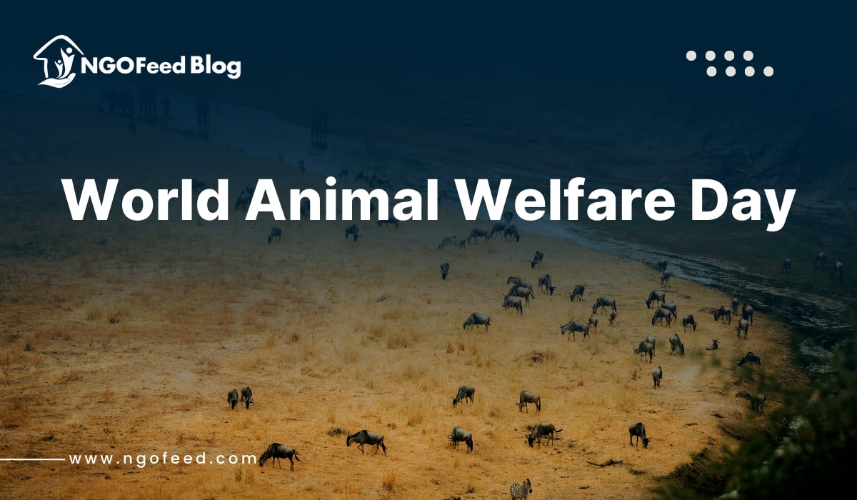 World Animal Welfare Day