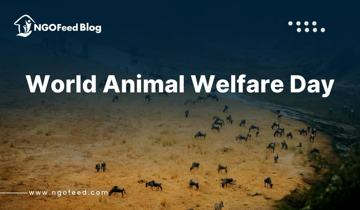 World Animal Welfare Day