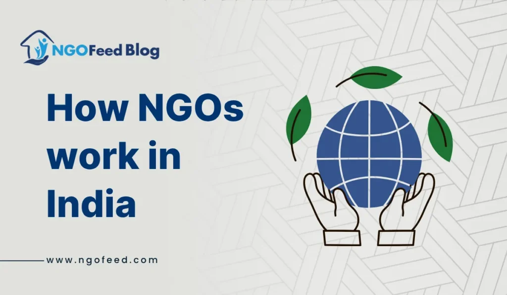 How NGOs Work in India: Functions, Challenges, Importance, Work etc.