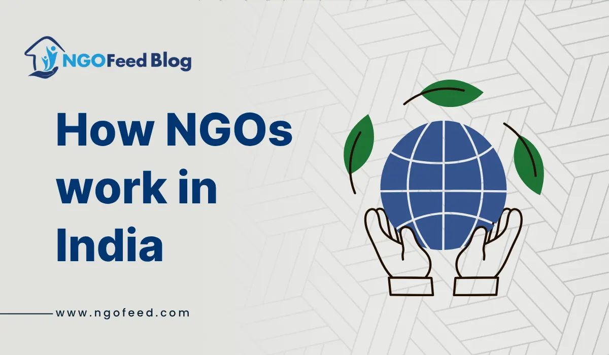 How NGOs work in India
