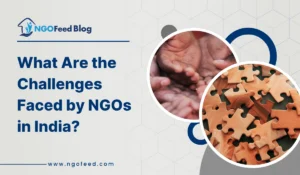 What Are the Challenges Faced by NGOs in India?