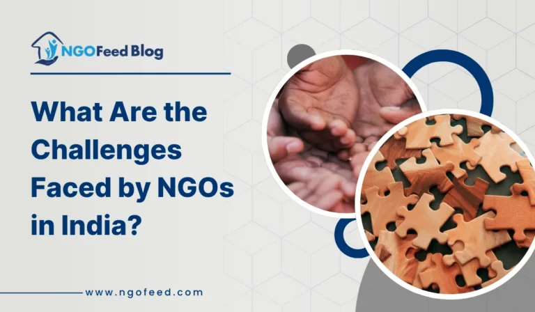 What Are the Challenges Faced by NGOs in India?