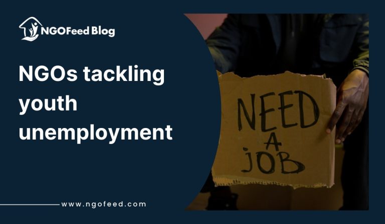 NGOs Tackling Youth Unemployment: Proven Strategies That Truly Work