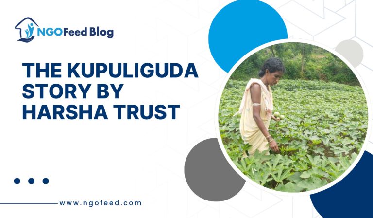Harsha Trust Impact Story: From Barely Surviving to Boldly Thriving – The Rising Women of Kupuliguda, Koraput, Odisha