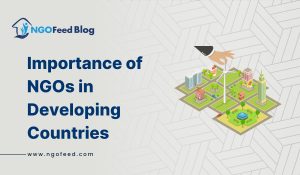 Importance of NGOs in Developing Countries