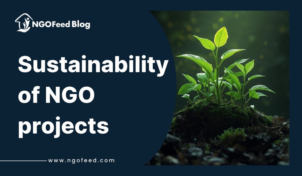 Sustainability of NGO projects