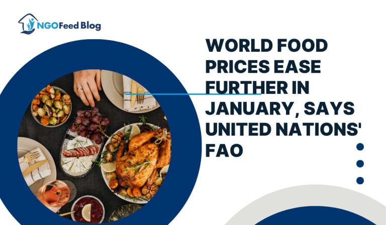FAO Index Update: International Food Prices Decrease Further in January
