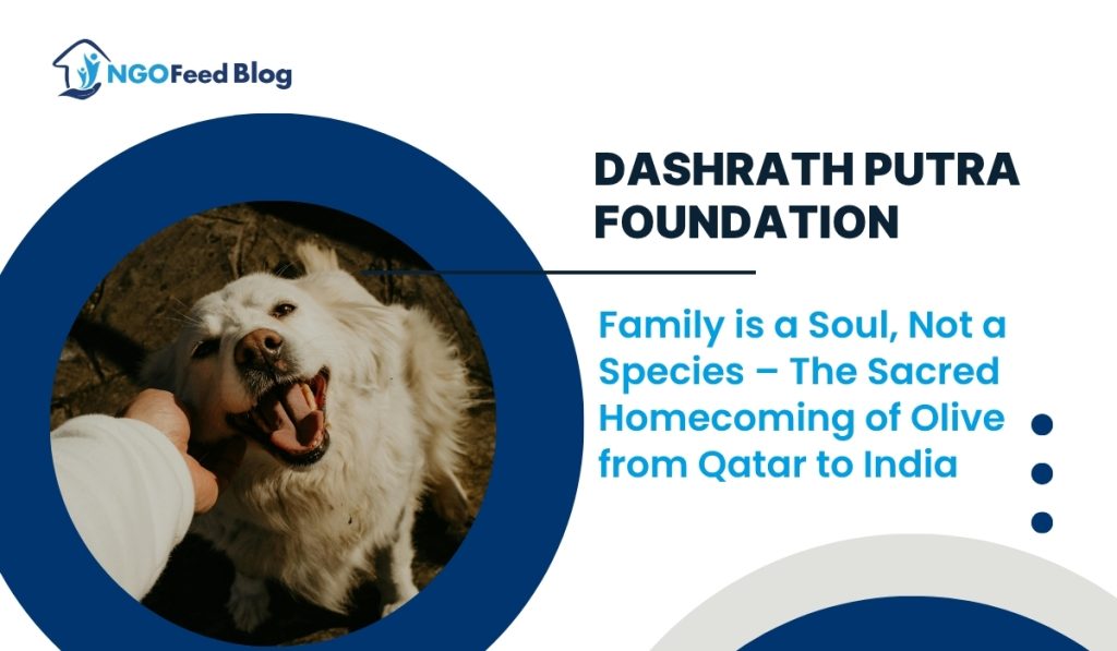 Dashrath Putra Foundation Olive Journey from Qatar to India