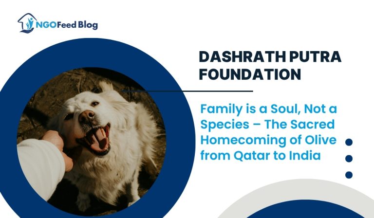 Dashrath Putra Foundation: Family is a Soul, Not a Species – The Sacred Homecoming of Olive from Qatar to India