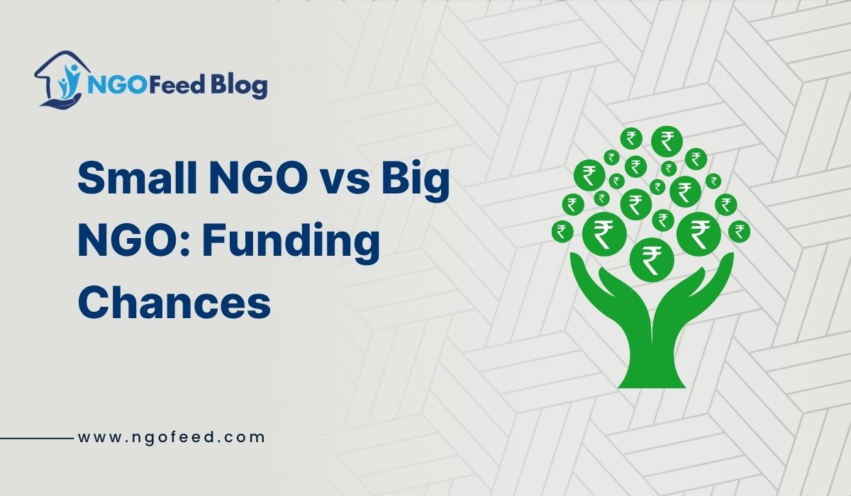 Small NGO vs Big NGO Funding Chances