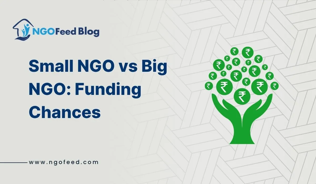 Small NGO vs Big NGO Funding Chances