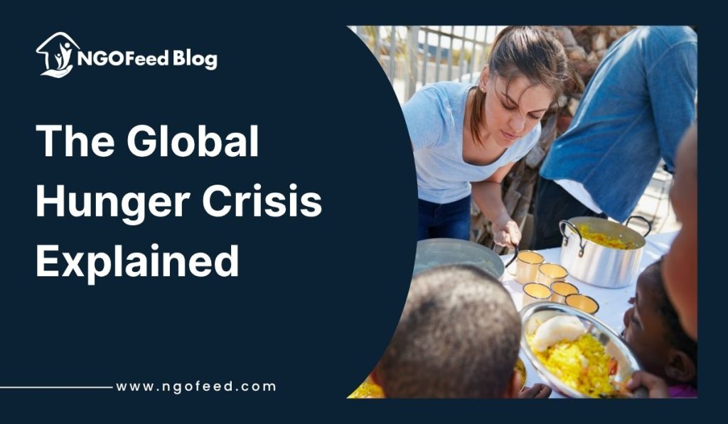 The Global Hunger Crisis Explained