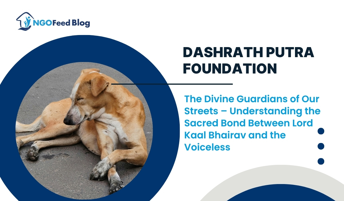 The Spiritual Journey of Dashrath Putra Foundation