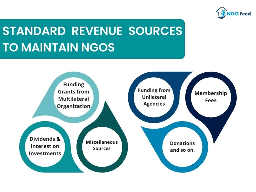 Standard Revenue Sources to Maintain NGOs