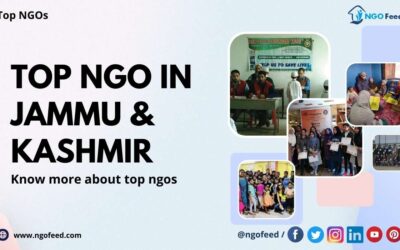 Top NGO in Jammu and Kashmir 2024: Know Who Works to Help India’s Impoverishment