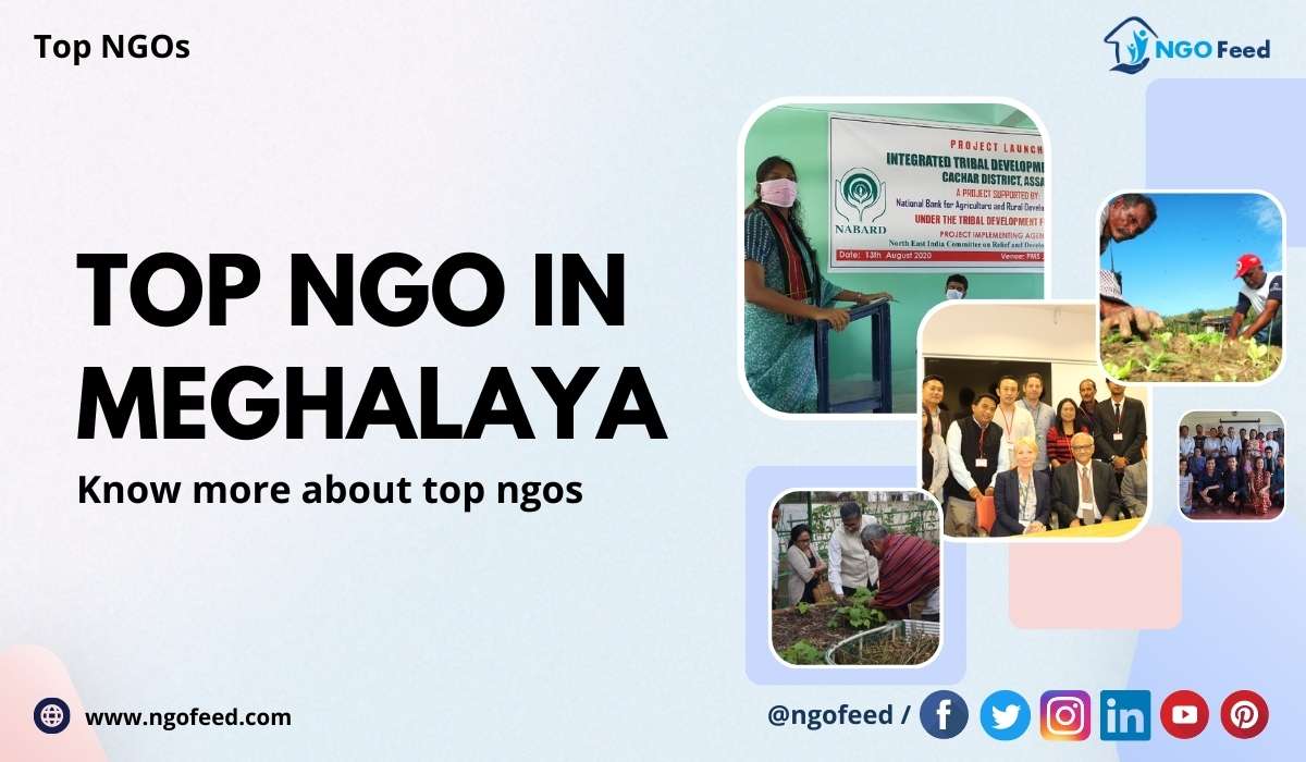 Top NGO in Meghalaya