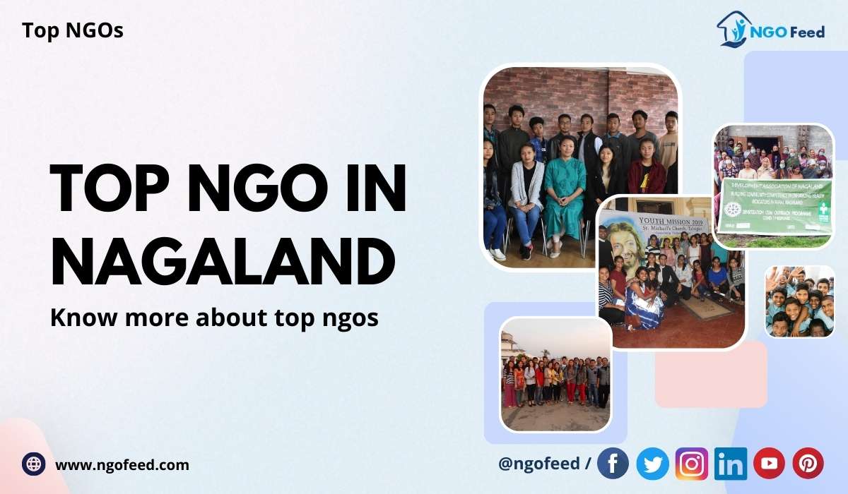 Top NGO in Nagaland