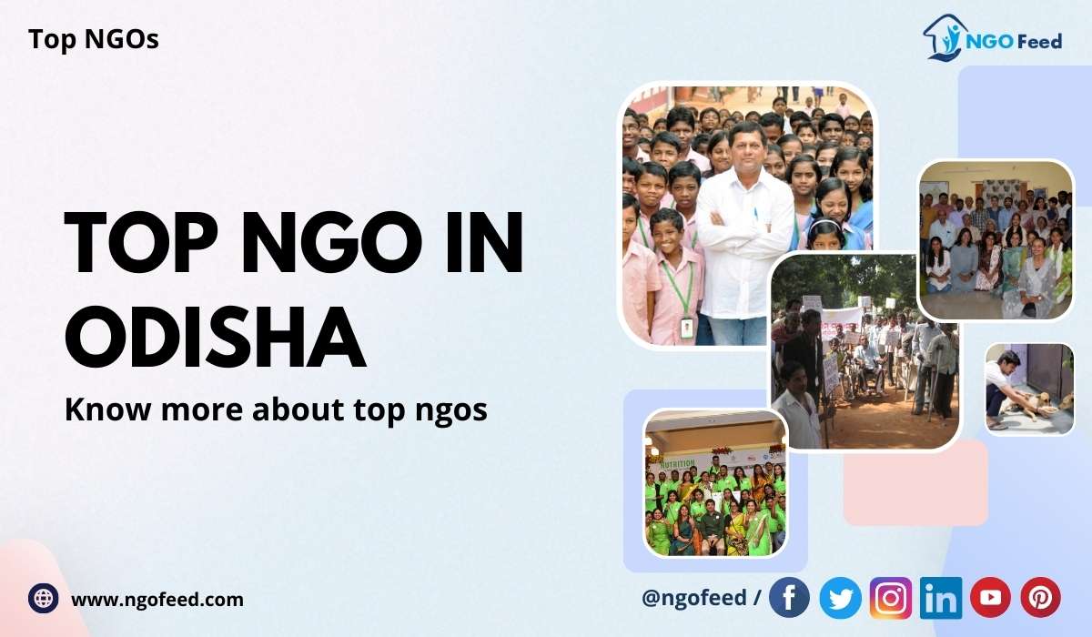 Top NGO in Odisha
