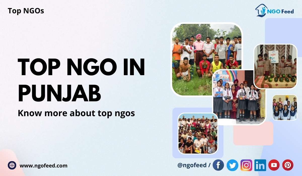 Top NGO in Punjab