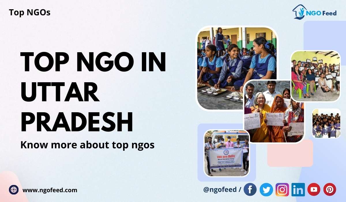 Top NGO in Uttar Pradesh